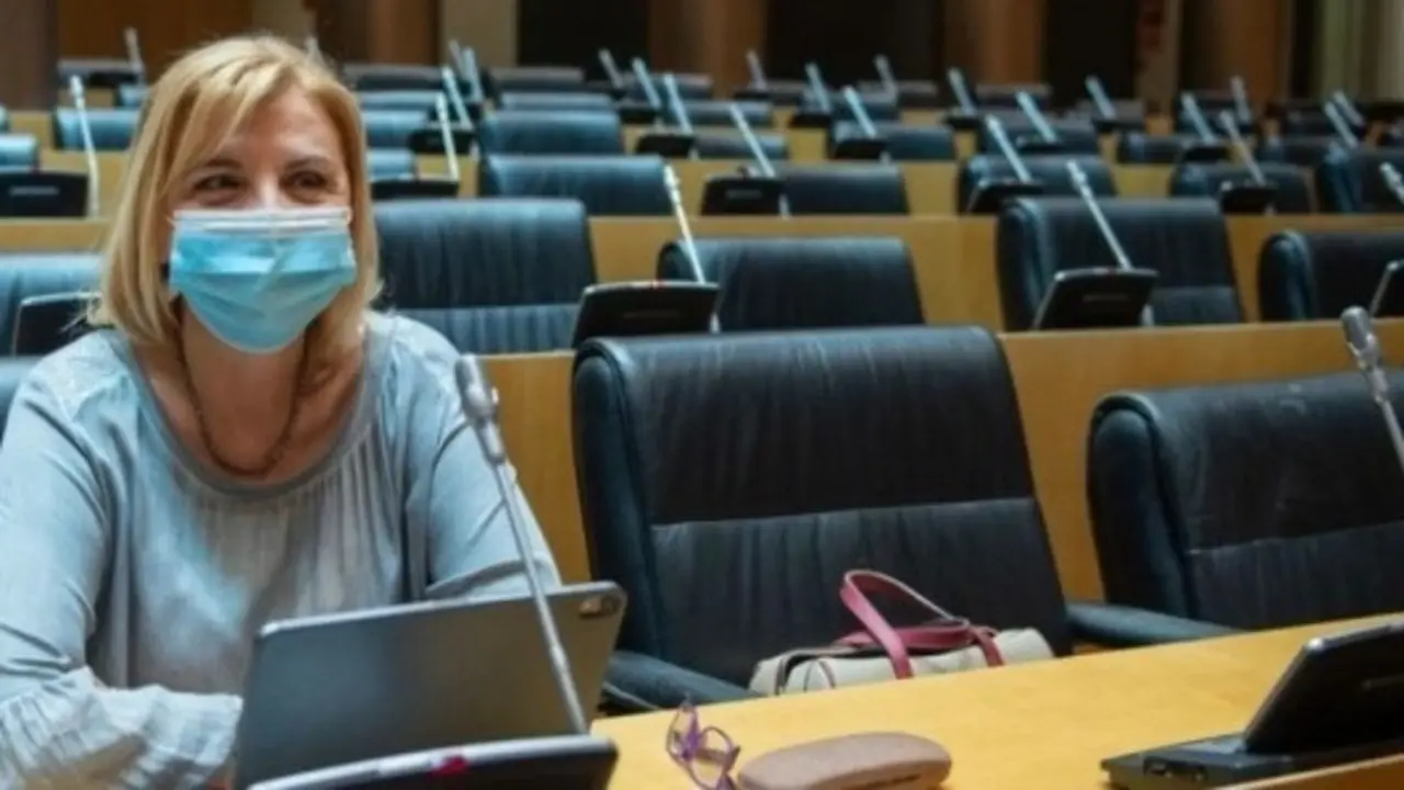 La portavoz del PP en la Comisi&oacute;n de Discapacidad en el Senado, Violante Tom&aacute;s