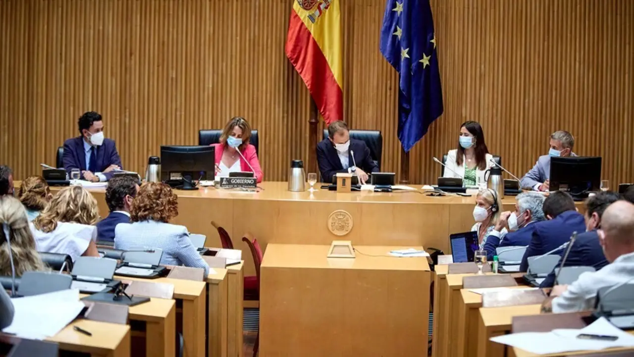 La ministra de Transici&oacute;n Ecol&oacute;gica y Reto Demogr&aacute;fico, Teresa Ribera (2i), en una Comisi&oacute;n de Transici&oacute;n Ecol&oacute;gica y Reto Demogr&aacute;fico del Congreso