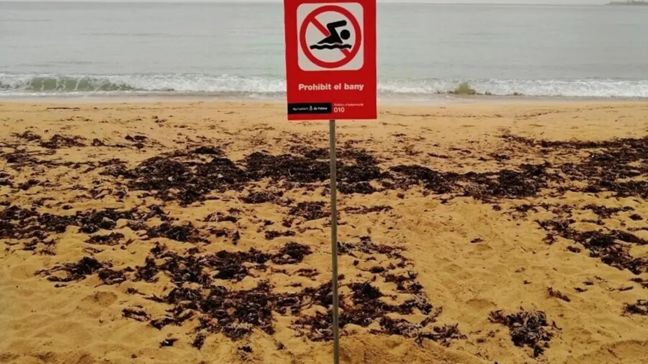 Archivo - Un cartel de prohibici&oacute;n de ba&ntilde;o en Can Pere Antoni.