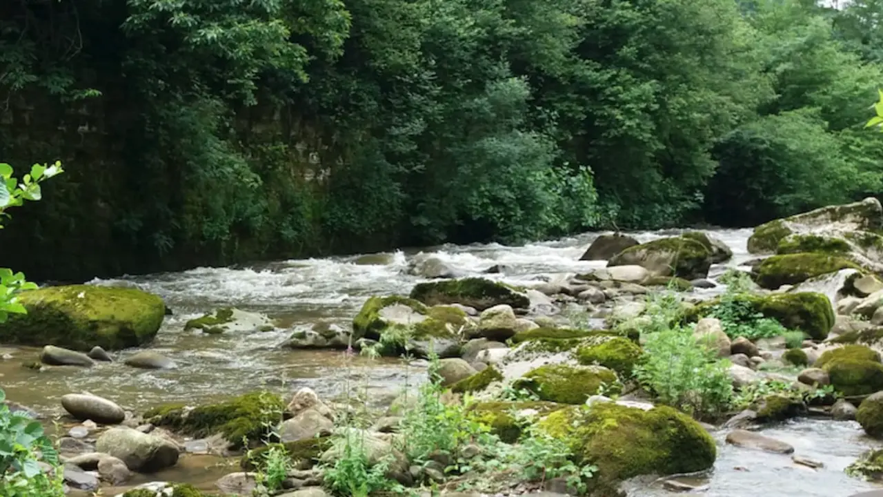 Vista del r&iacute;o Besaya a su paso por Arenas de Igu&ntilde;a.