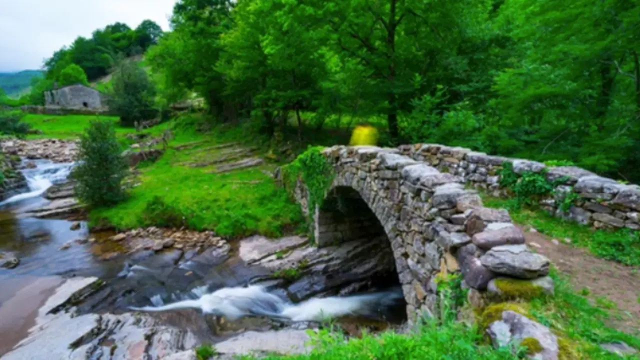 Valle del r&iacute;o Via&ntilde;a, Vega de Pas, Valles Pasiegos, Cantabria, Espa&ntilde;a, Europa