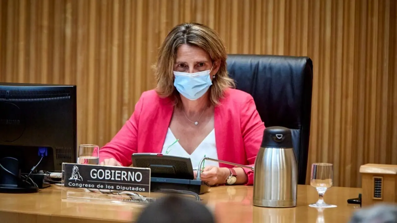 La ministra de Transici&oacute;n Ecol&oacute;gica y Reto Demogr&aacute;fico, Teresa Ribera.