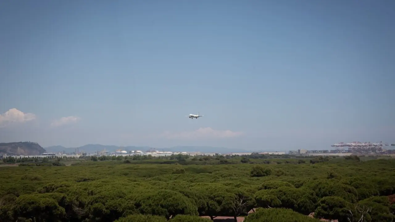 Archivo - Un avi&oacute;n vuela cerca del espacio protegido natural de La Ricarda, a 9 de junio de 2021, en El Prat de Llobregat, Barcelona, Catalu&ntilde;a (Espa&ntilde;a). 