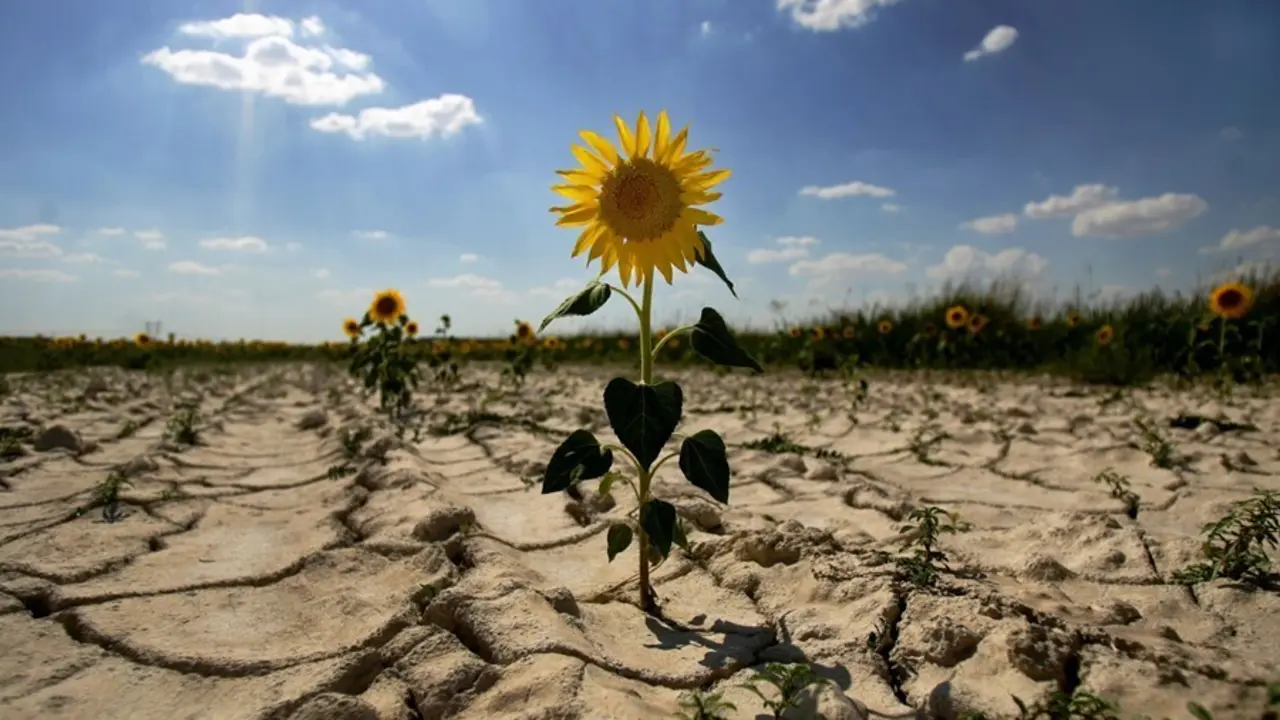 Archivo - Desertizaci&oacute;n. Sequ&iacute;a. Ola de calor. Cambio clim&aacute;tico