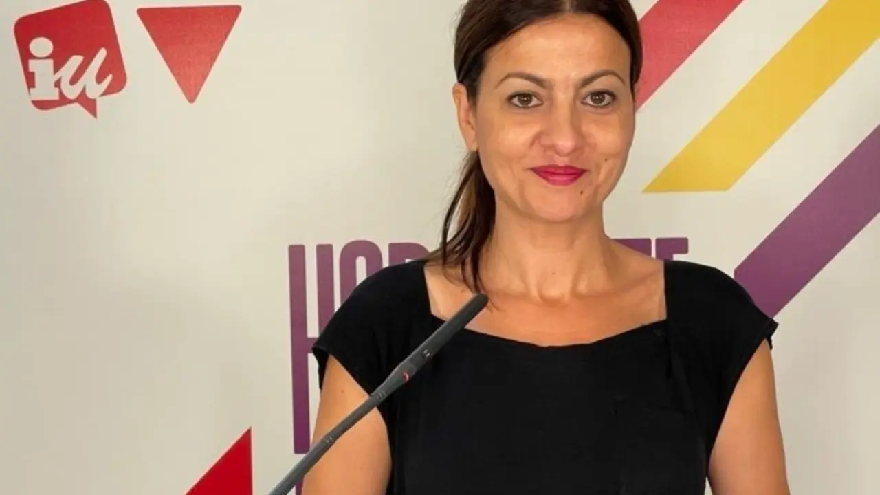 Imagen de la portavoz federal de IU y eurodiputada de la formaci&oacute;n, Sira Rego, durante una rueda de prensa telem&aacute;tica.