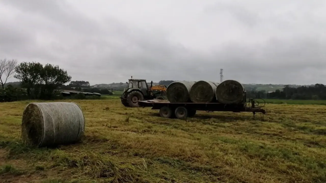 Archivo - Trabajos en el campo, rural, agricultur, PAC, tractor.