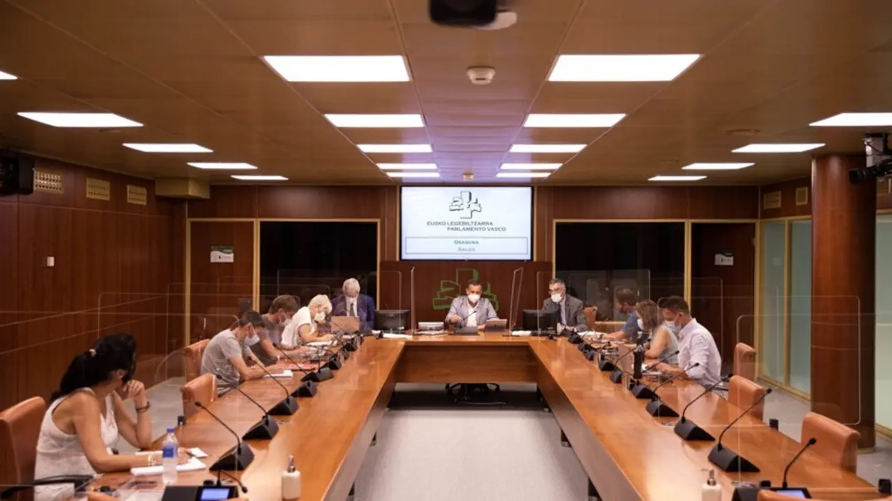 Comparecencia de Jonan Fern&aacute;ndez ante la Comisi&oacute;n de Sallud