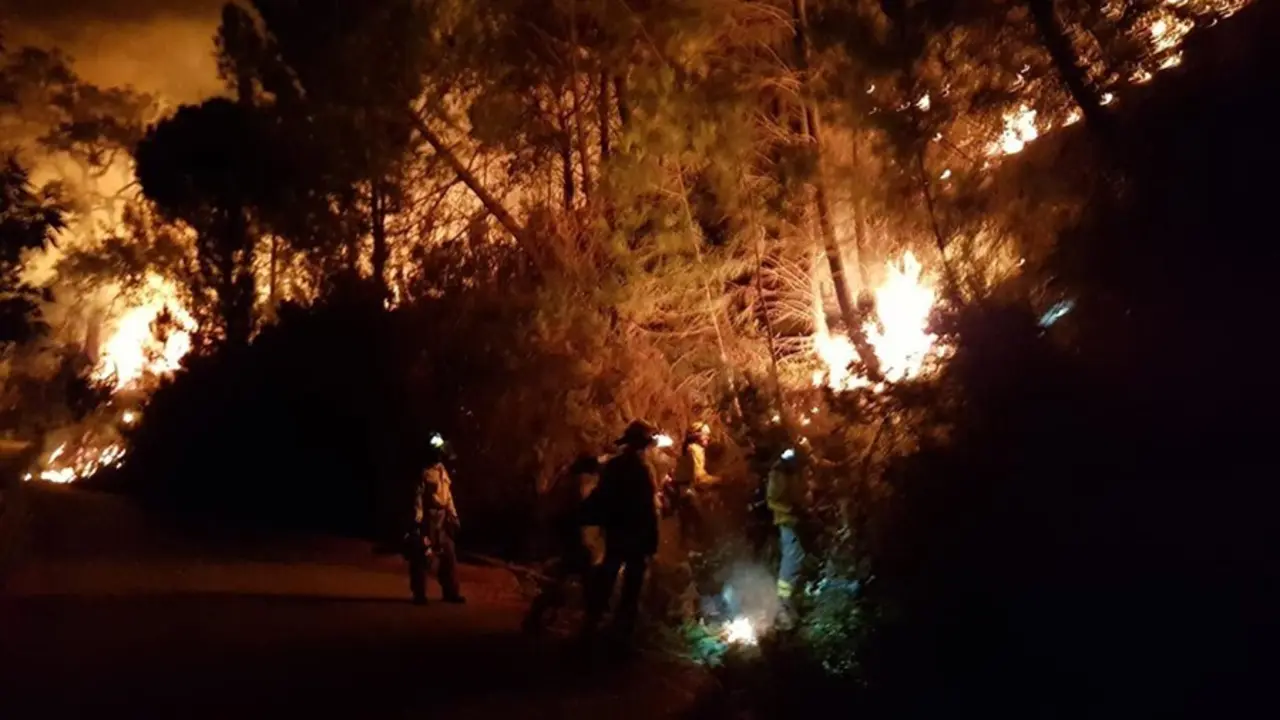 El incendio forestal declarado en Sierra Bermeja, en M&aacute;laga