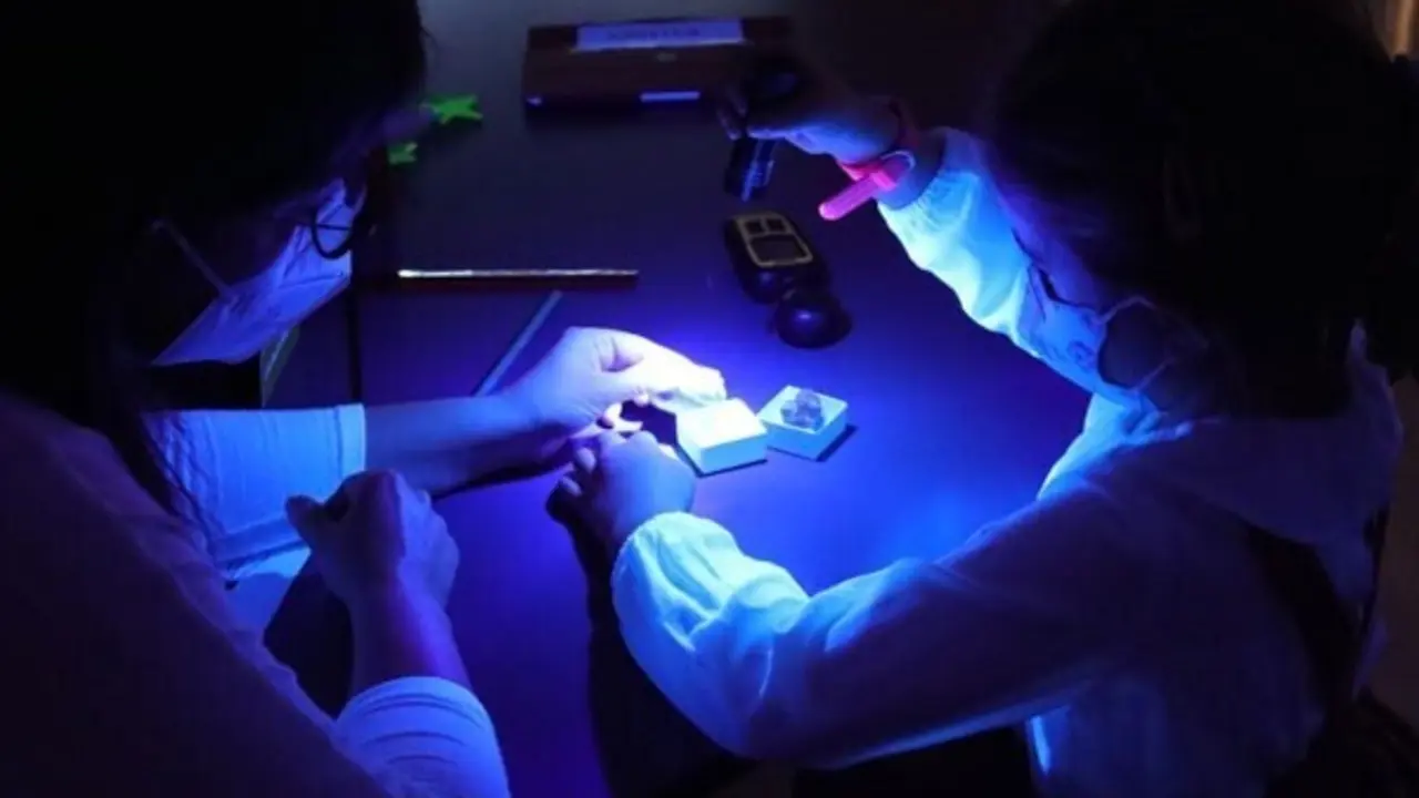 El Museo Nacional de Ciencias Naturales lanza su programa de actividades extraescolares para el curso 2021/2022