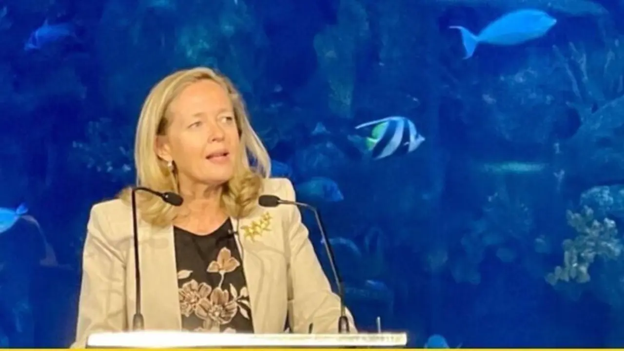 La vicepresidenta del Gobierno y ministra de Asuntos Econ&oacute;micos, Nadia Calvi&ntilde;o.