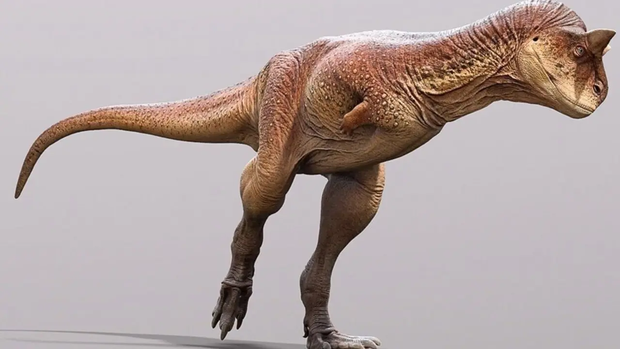 Reconstrucci&oacute;n art&iacute;stica de Carnotaurus basada en la piel escamosa de descrita en el presente estudio
