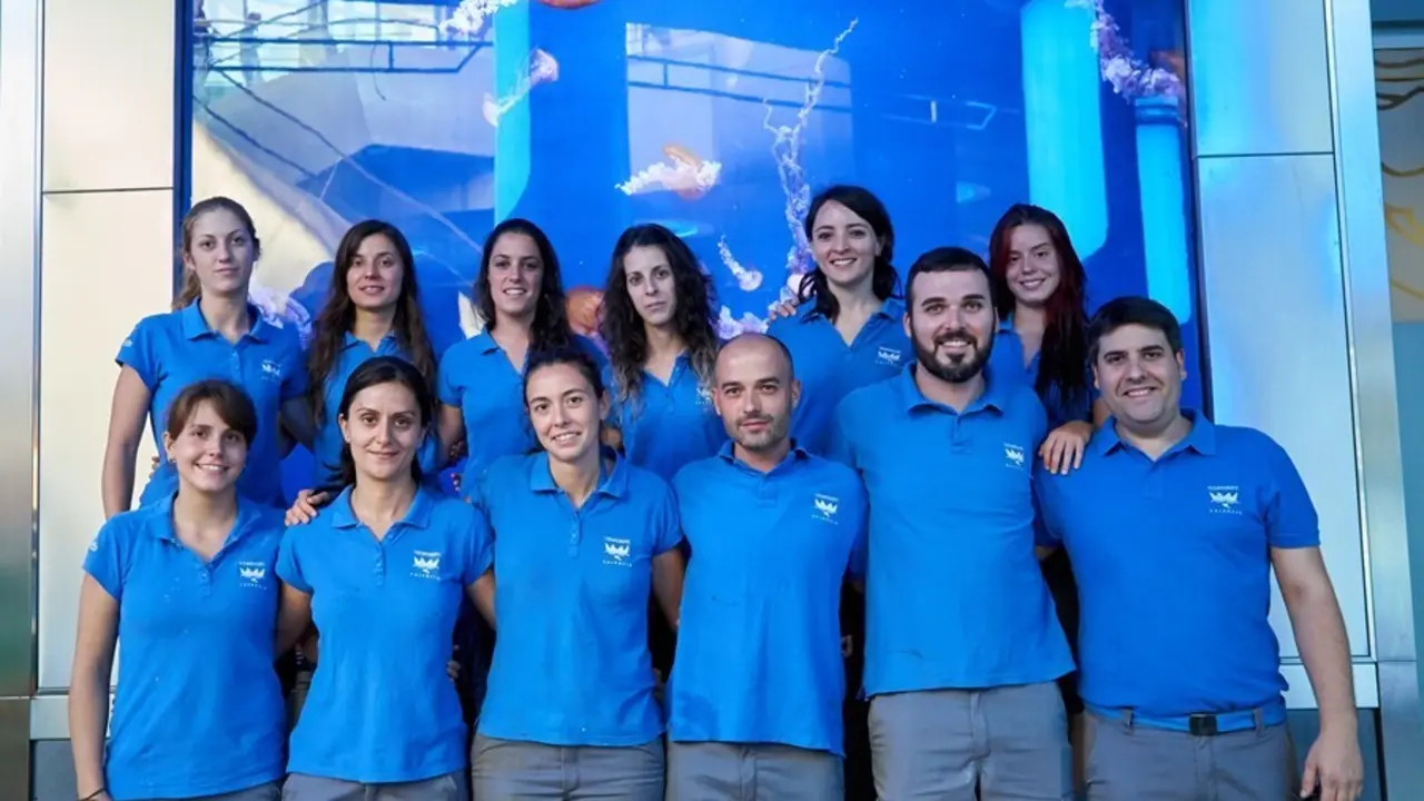 Archivo - El equipo de mediterr&aacute;neo-medusas del Oceanogr&agrave;fic