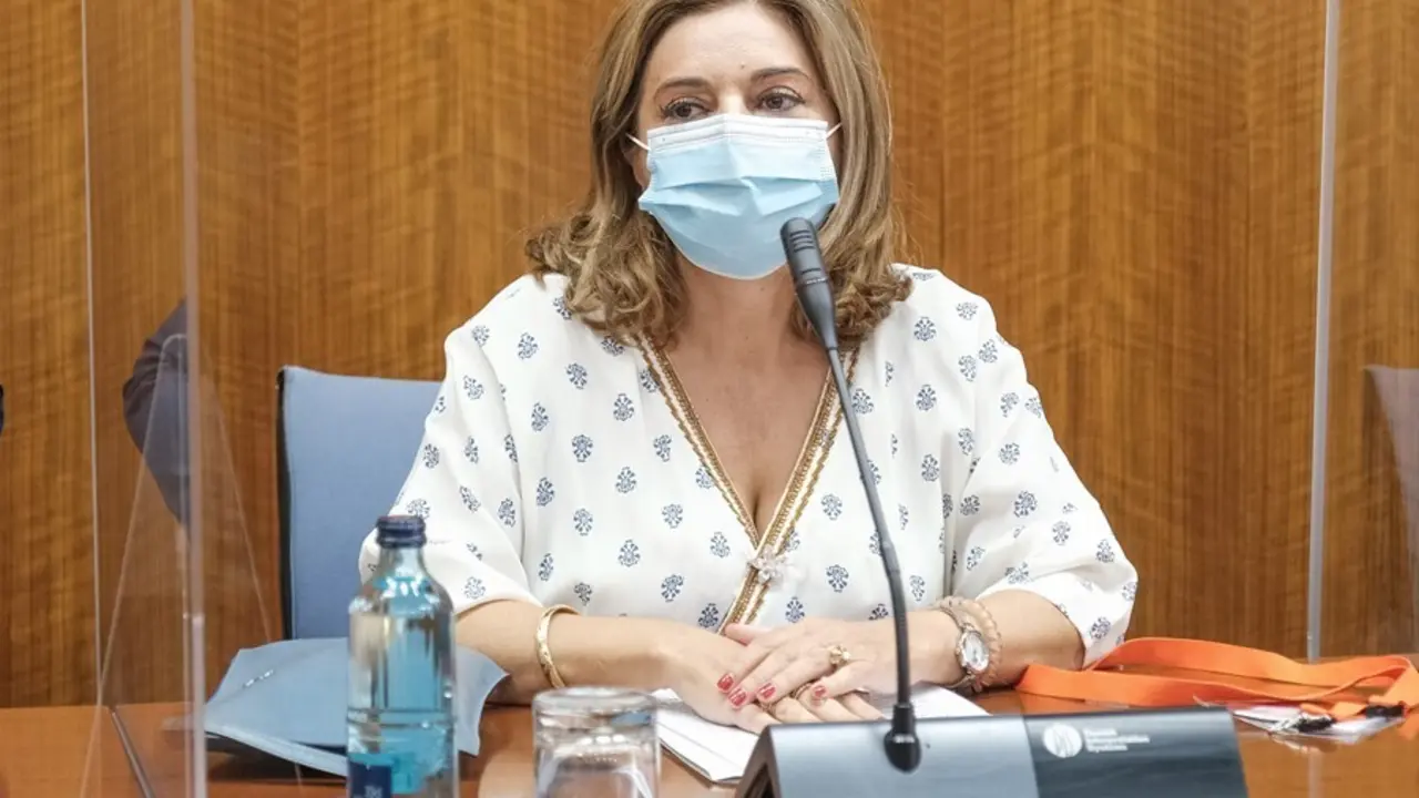 Carmen Ibanco, este viernes en la comisi&oacute;n de investigaci&oacute;n de la Faffe del Parlamento andaluz
