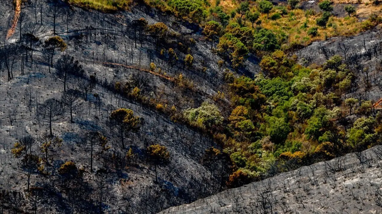 Paraje calcinados por el incendio en Sierra Bermeja a 10 de septiembre 2021 en Estepona (M&aacute;laga) (Andaluc&iacute;a)