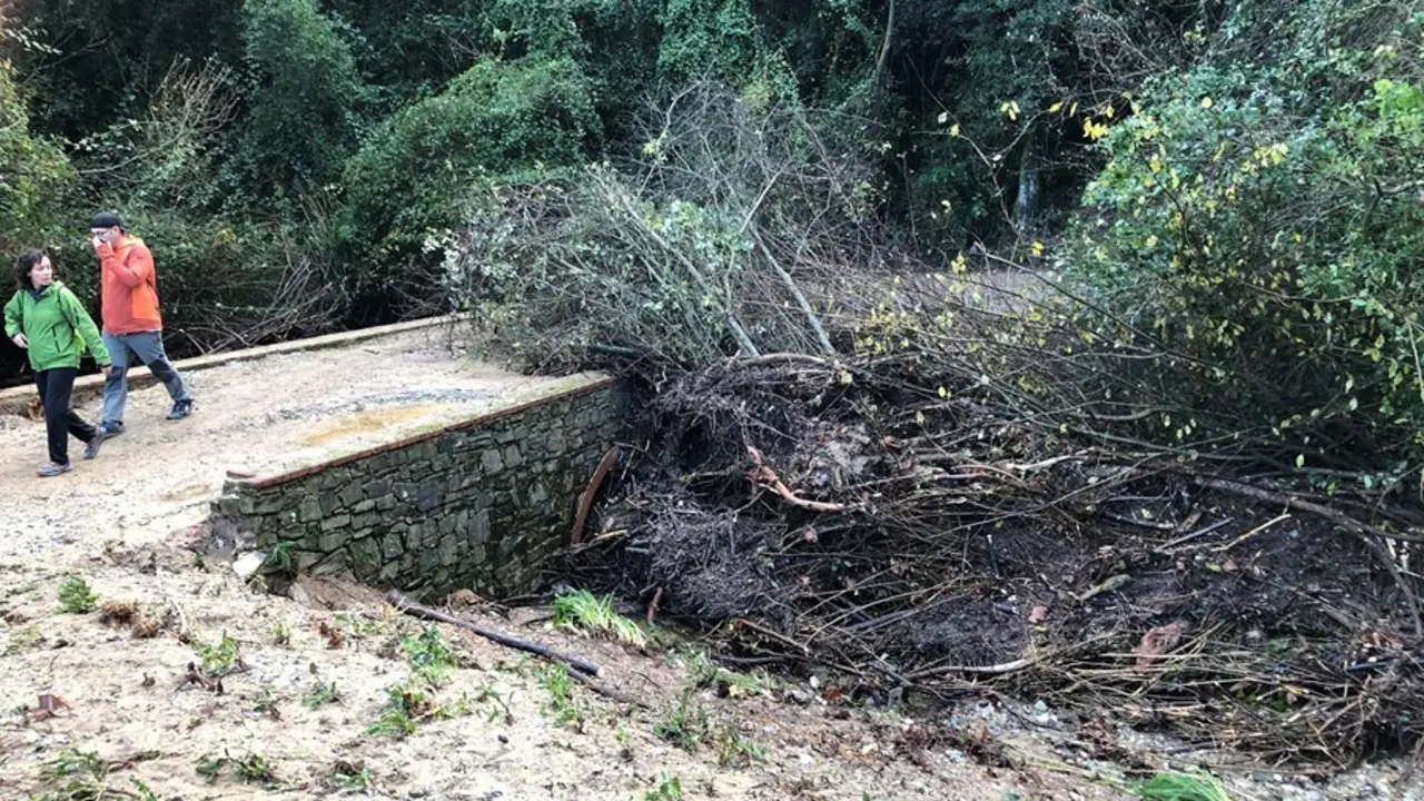 Archivo - Las tormentas provocan afectaciones en caminos de Collserola