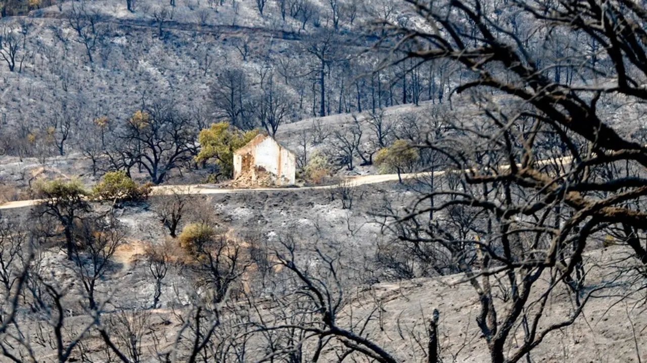 Paraje calcinado por el incendio en Sierra Bermeja en Estepona (M&aacute;laga)
