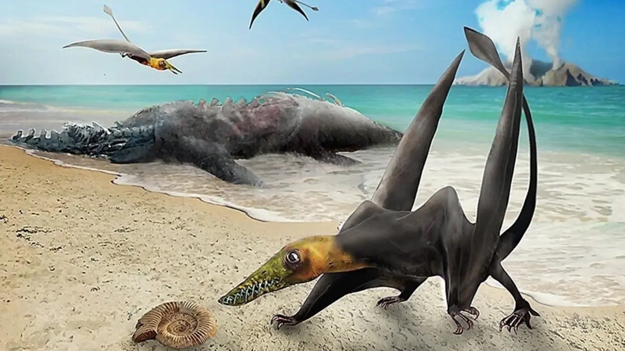 El hallazgo corresponde al m&aacute;s antiguo pterosaurio encontrado hasta el momento en Chile, un reptil volador de la familia de los ranforrincos que vivi&oacute; en el per&iacute;odo Jur&aacute;sico.