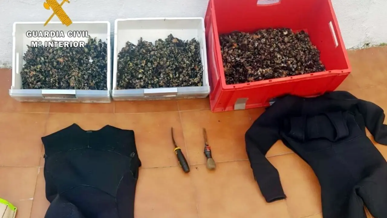 Los percebes incautados