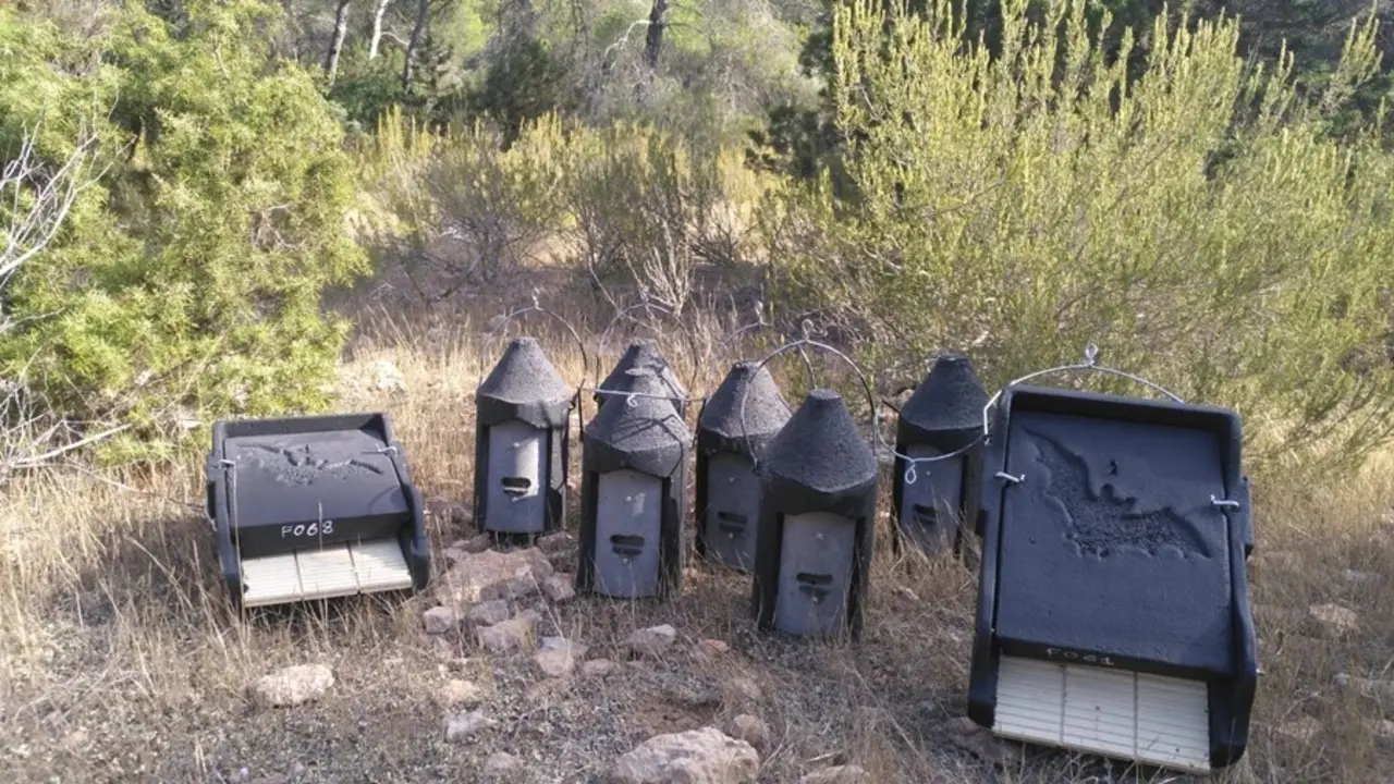 Cajas nido para murci&eacute;lagos.