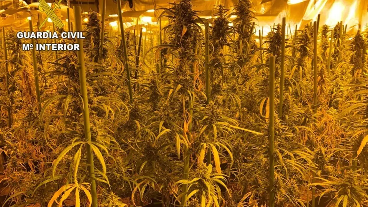 La Guardia Civil detiene a 26 personas con m&aacute;s de 200 agentes desplegados en una macrooperaci&oacute;n contra el tr&aacute;fico de drogas en la comarca de La Sagra.