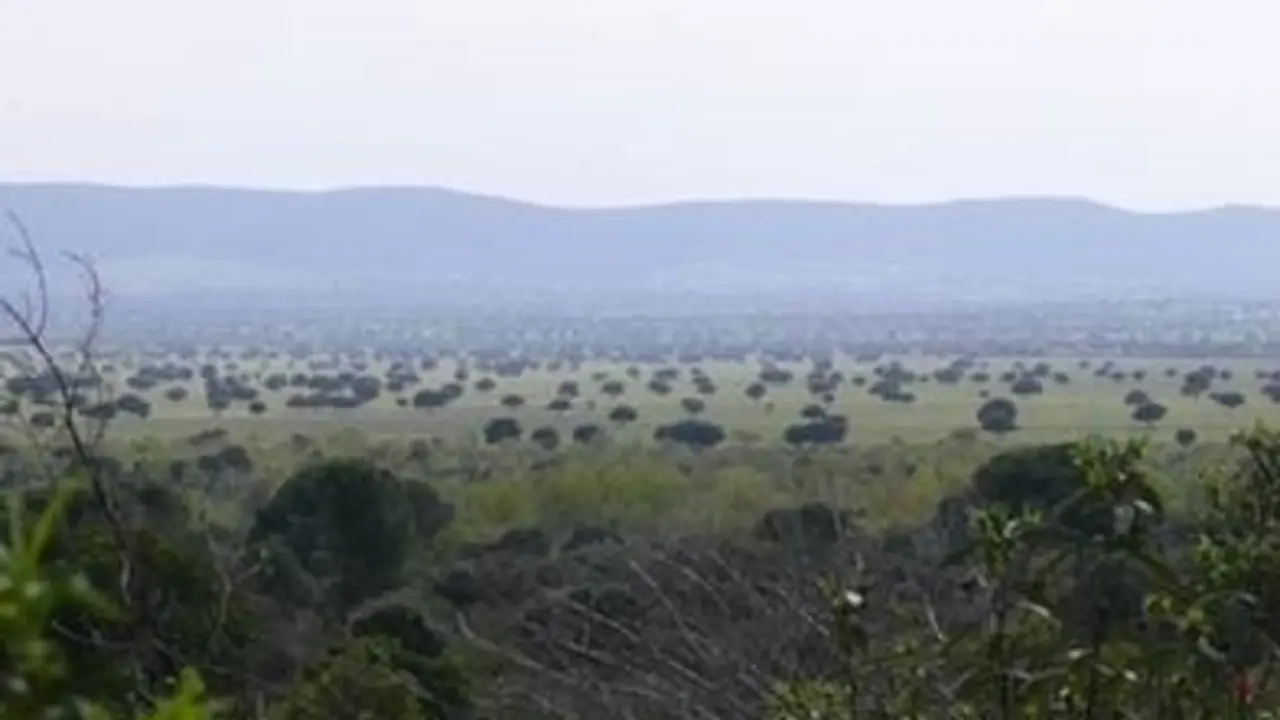 Dehesas del Parque Nacional de Caba&ntilde;eros .