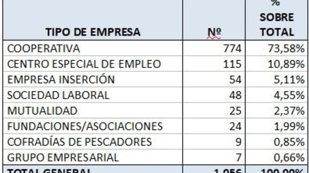 Modelos de empresas de econom&iacute;a social
