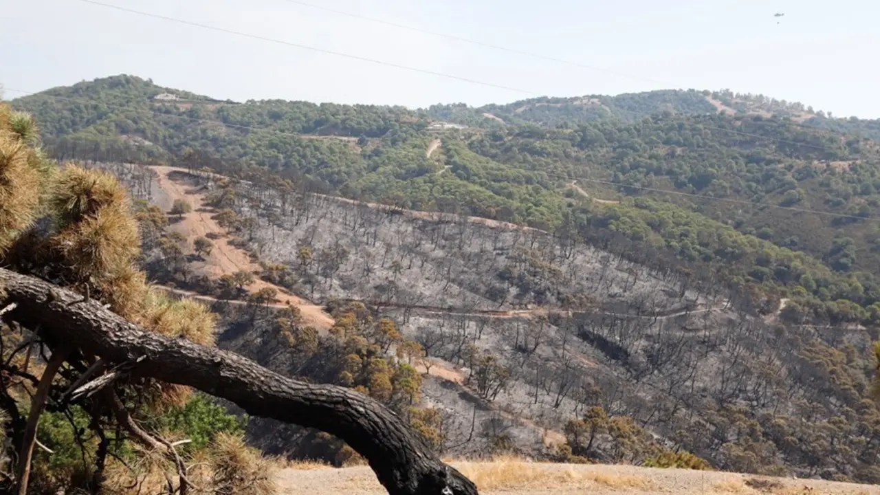 Parajes quemados por el incendio de Sierra Bermeja 