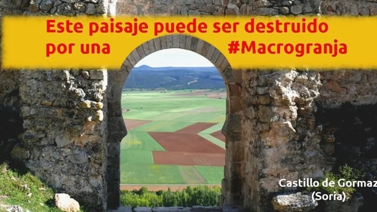 Campa&ntilde;a lanzada en Twitter para que los turistas compartieran su foto en la Puerta Califal.
