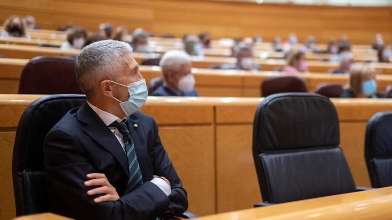 El ministro de Interior, Fernando Grande-Marlaska, durante el pleno del Senado
