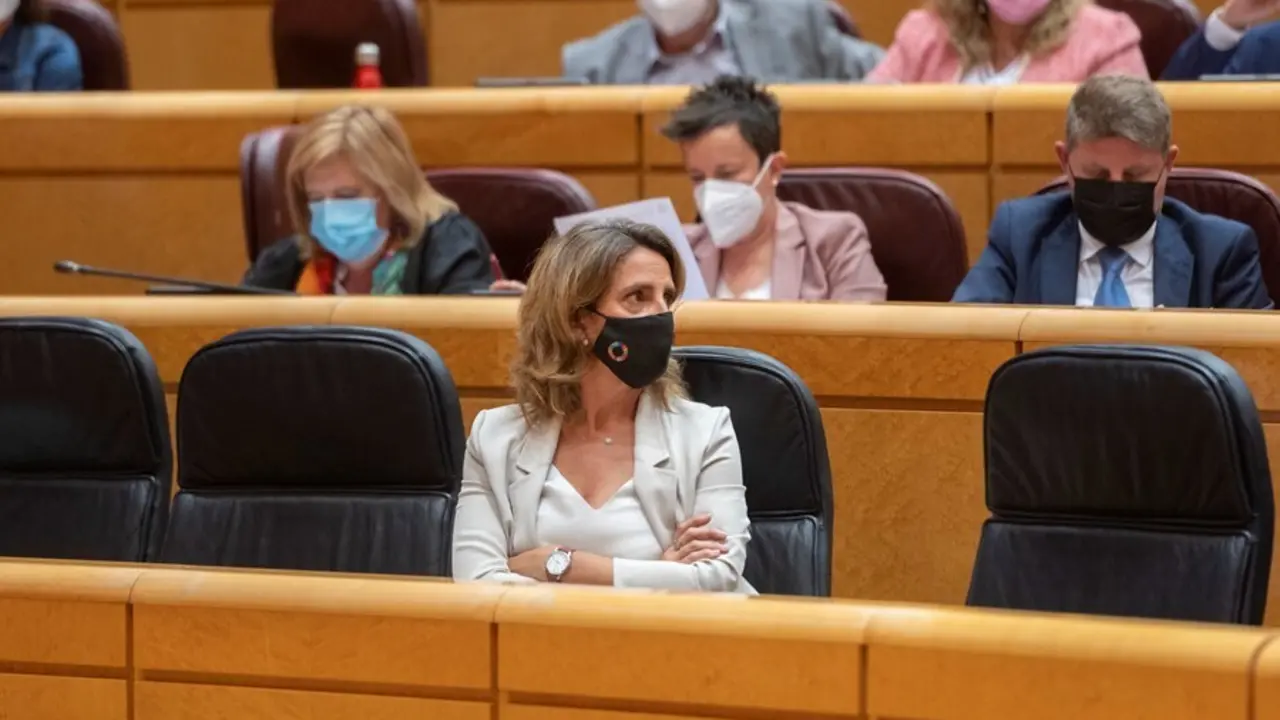 La vicepresidenta tercera y ministra de Transici&oacute;n Ecol&oacute;gica y Reto Demogr&aacute;fico, Teresa Ribera, 