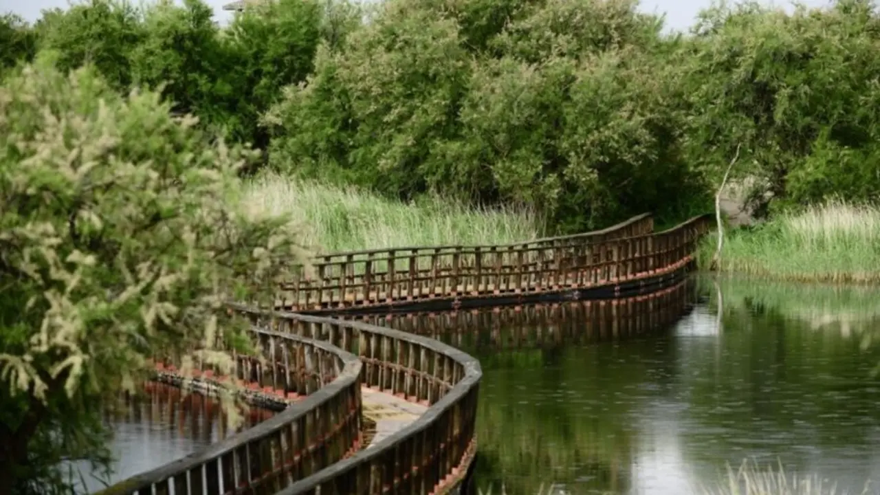 Aprobado el bombeo de agua de pozos a las Tablas de Daimiel para paliar la situaci&oacute;n h&iacute;drica del parque