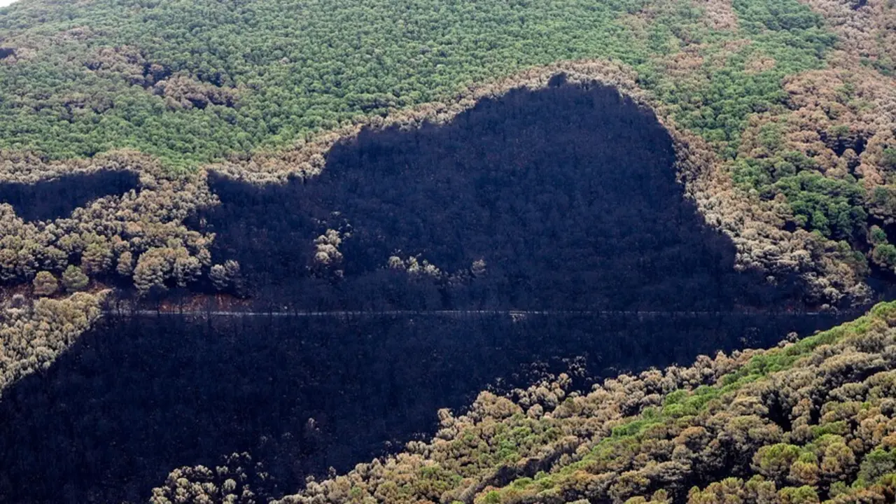Zonas quemadas por el incendio de Sierra Bermeja, en el &aacute;rea de Puerto de Pe&ntilde;as Blancas a 14 de septiembre 2021 en Estepona (M&aacute;laga) Andaluc&iacute;a