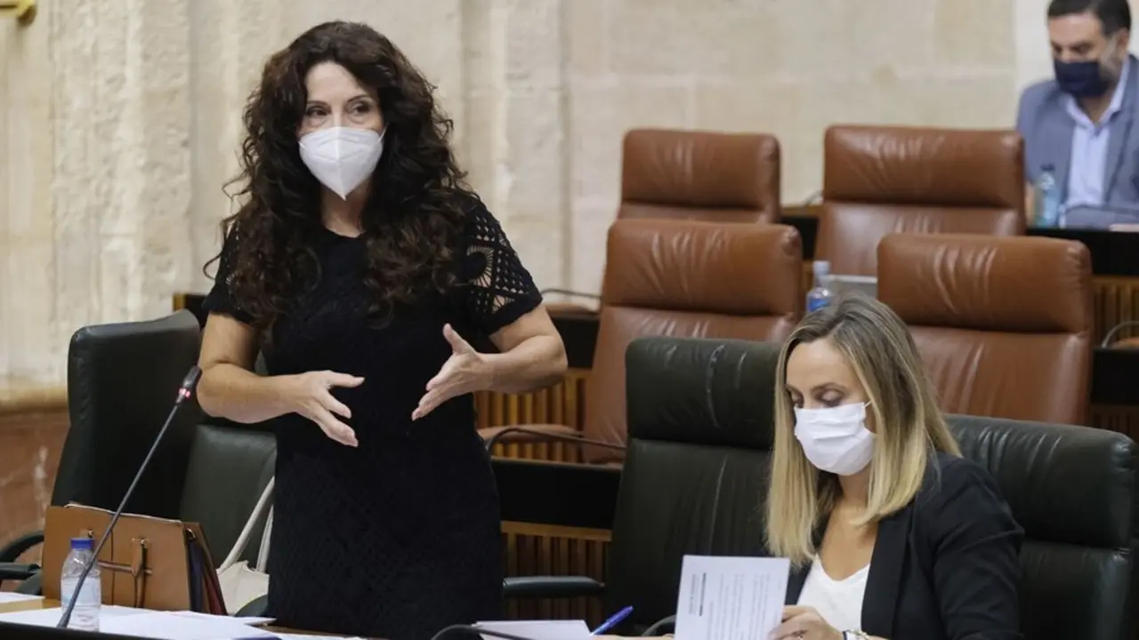 La consejera de Igualdad, Pol&iacute;ticas Sociales y Conciliaci&oacute;n, Roc&iacute;o Ruiz