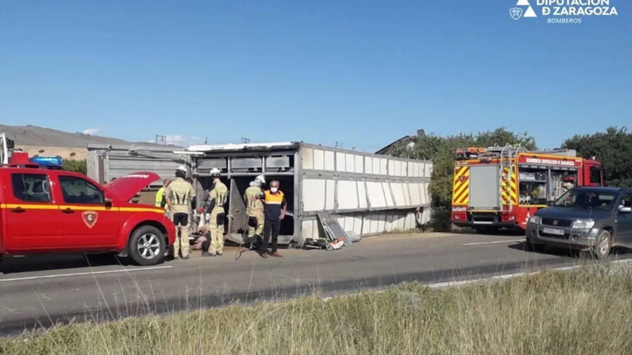 Vuelca un cami&oacute;n que transportaba cerca de 200 cerdos, en la carretera A-121, en Ricla (Zaragoza).