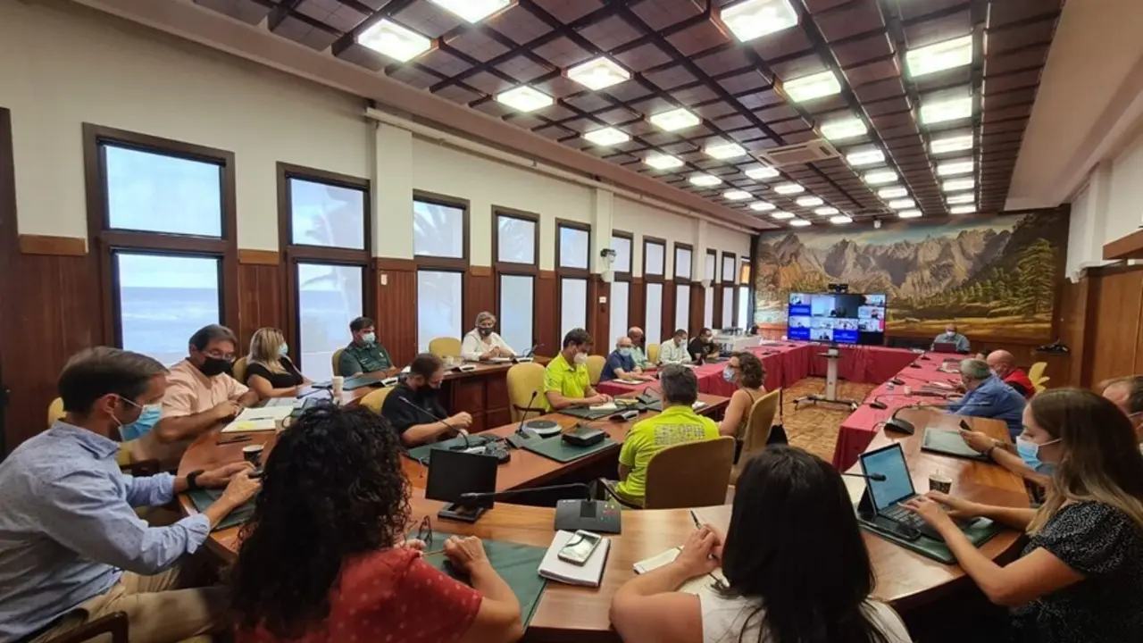 Reuni&oacute;n del comit&eacute; de direcci&oacute;n del Pevolca