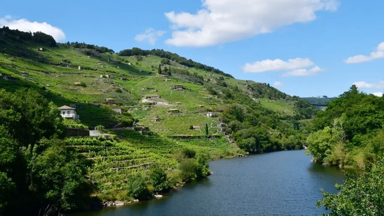 Reserva de la biosfera