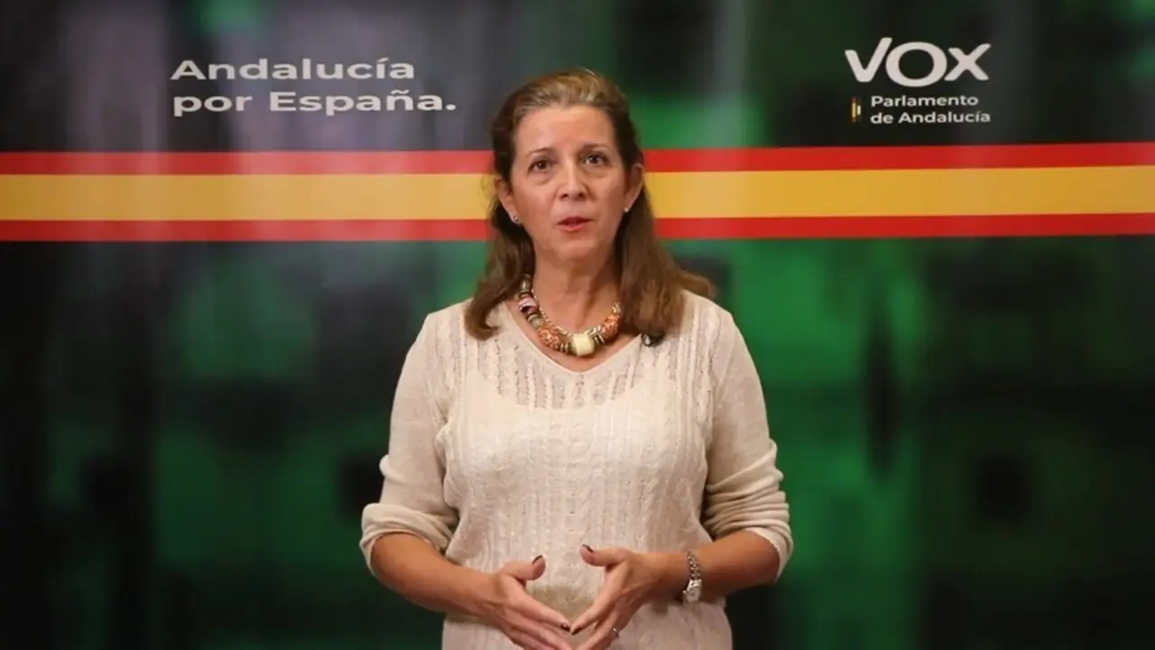La portavoz de Vox en la comisi&oacute;n parlamentaria de Salud y Familias, Mar&iacute;a Jos&eacute; Pi&ntilde;ero.