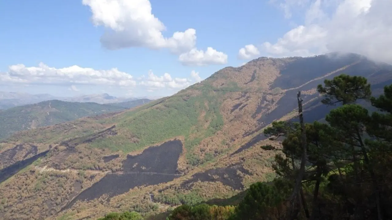 Ecologistas piden un plan de restauraci&oacute;n forestal para Sierra Bermeja y su protecci&oacute;n como parque nacional