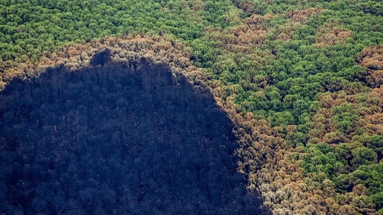 Zonas quemadas por el incendio de Sierra Bermeja.