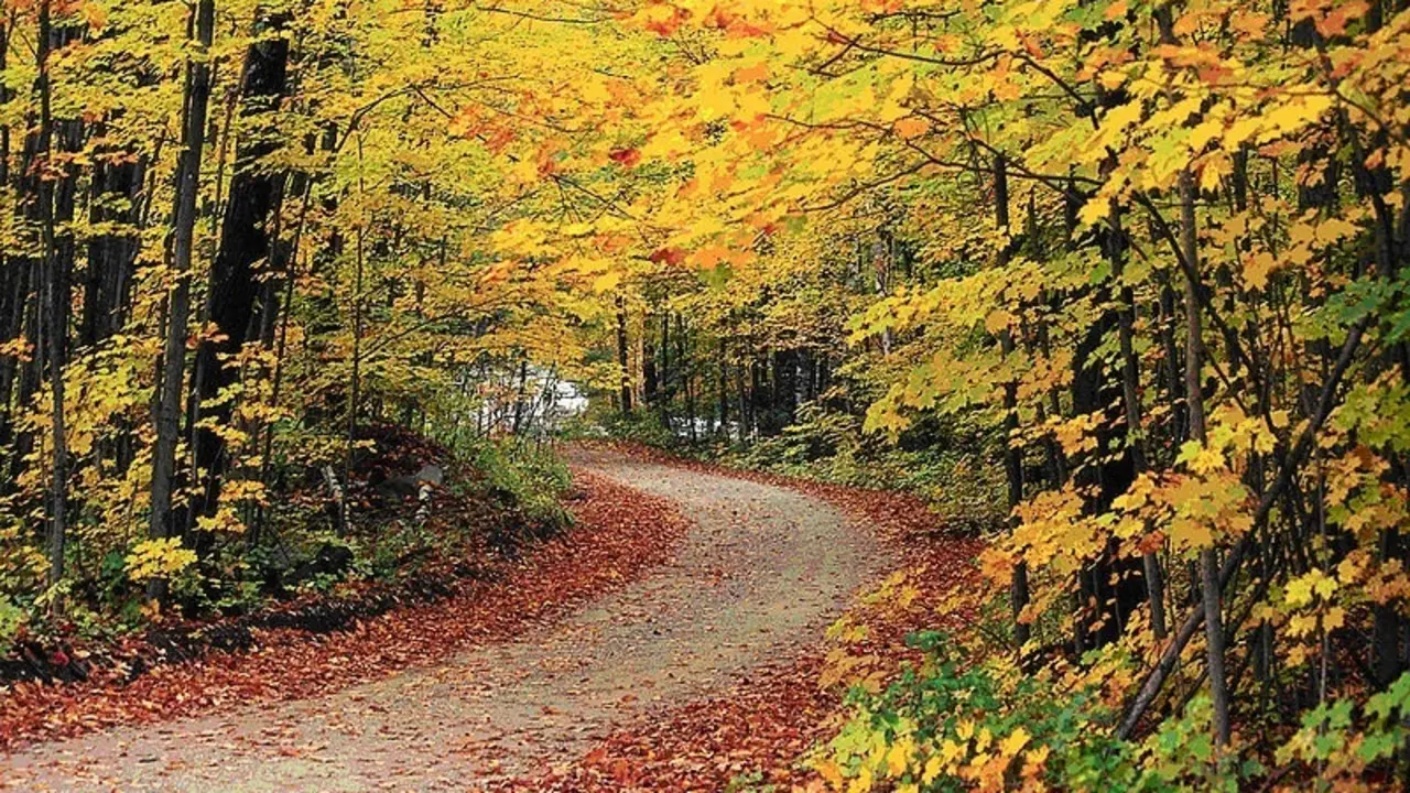 Archivo - El oto&ntilde;o llegar&aacute; a las 21.21 horas (hora peninsular) de este mi&eacute;rcoles 22 de septiembre, y durar&aacute; 89 d&iacute;as y 20 horas. La estaci&oacute;n acabar&aacute; el 21 de diciembre con la llegada del invierno, seg&uacute;n el Instituto Geogr&aacute;fico Nacional