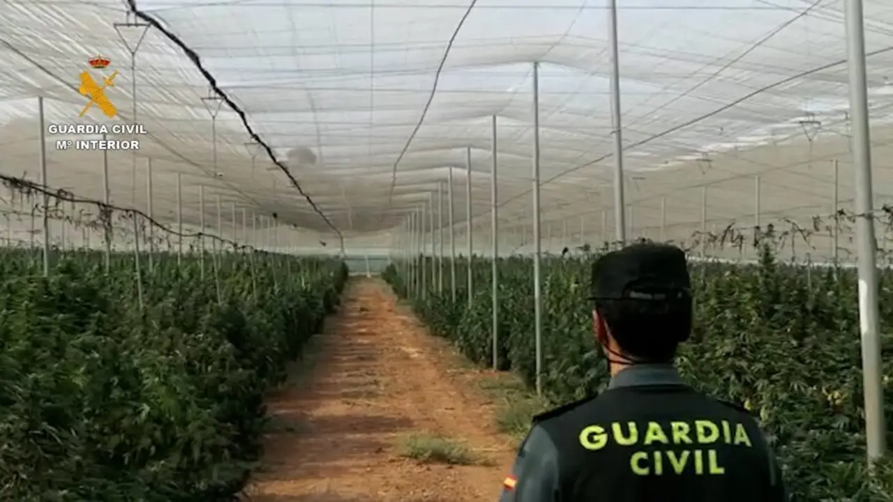 Operaci&oacute;n de la Guardia Civil