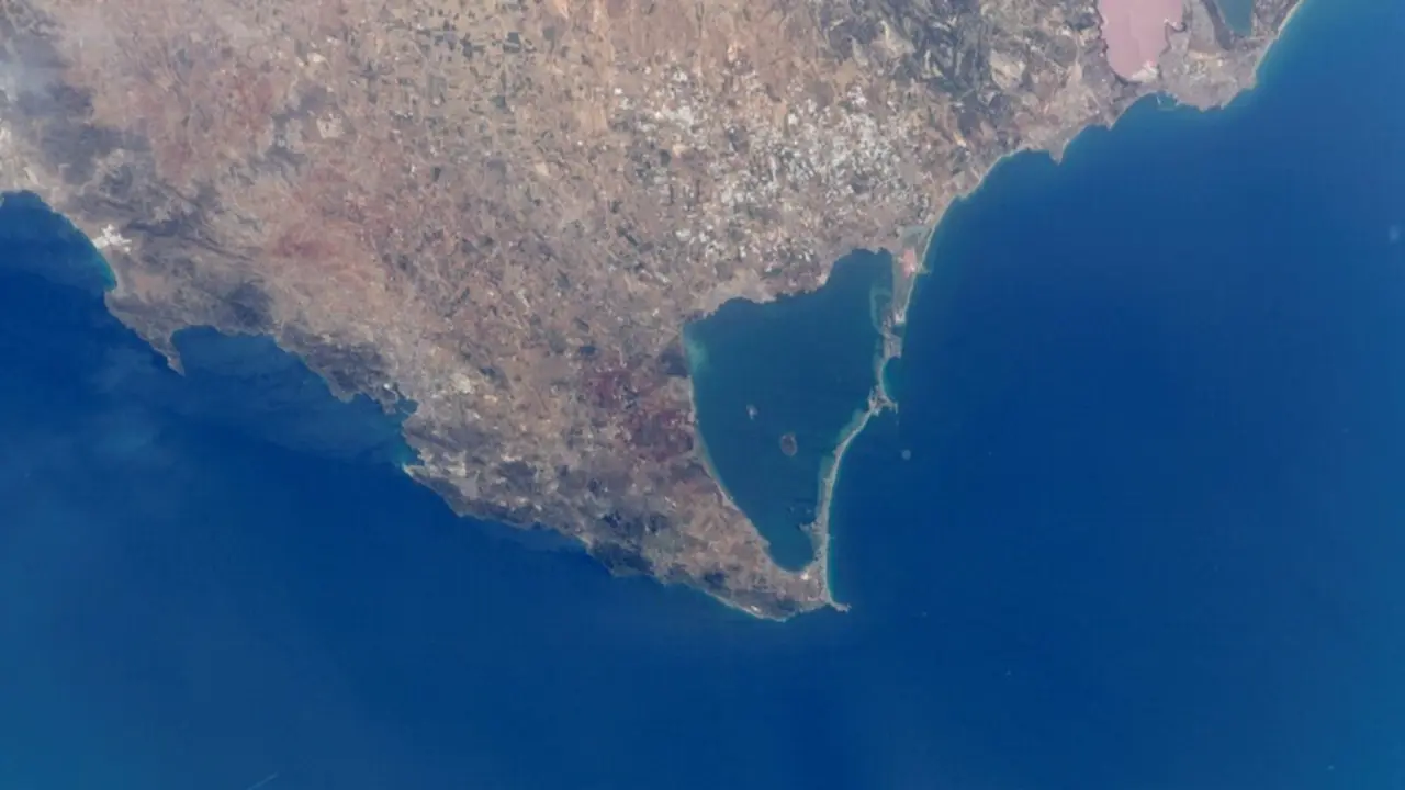 Archivo - IEO se&ntilde;ala al vertido continuado de nutrientes agr&iacute;colas como principal causa de mortandad de fauna en el Mar Menor
