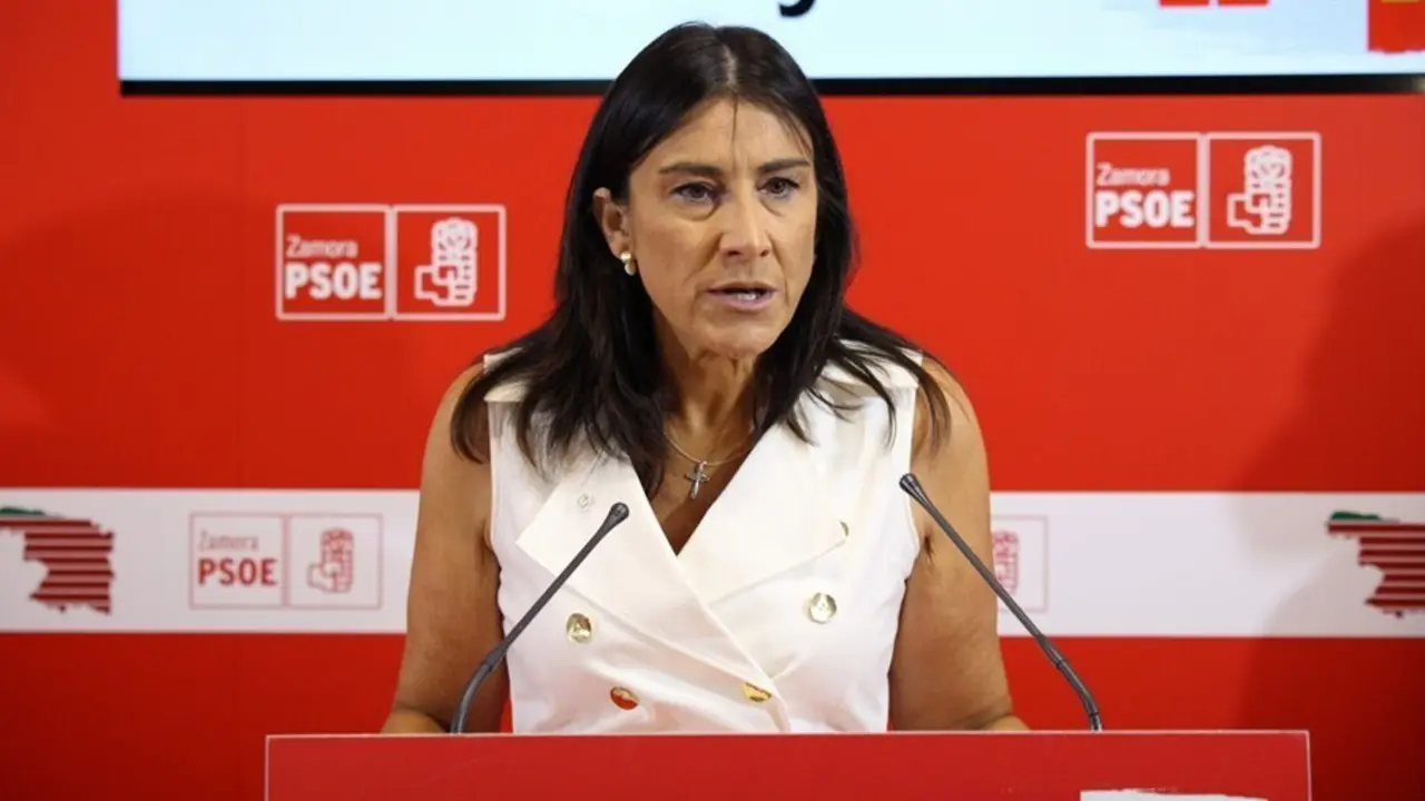 Archivo - Ana S&aacute;nchez durante la rueda de prensa en la sede del PSOE de Zamora. Archivo.