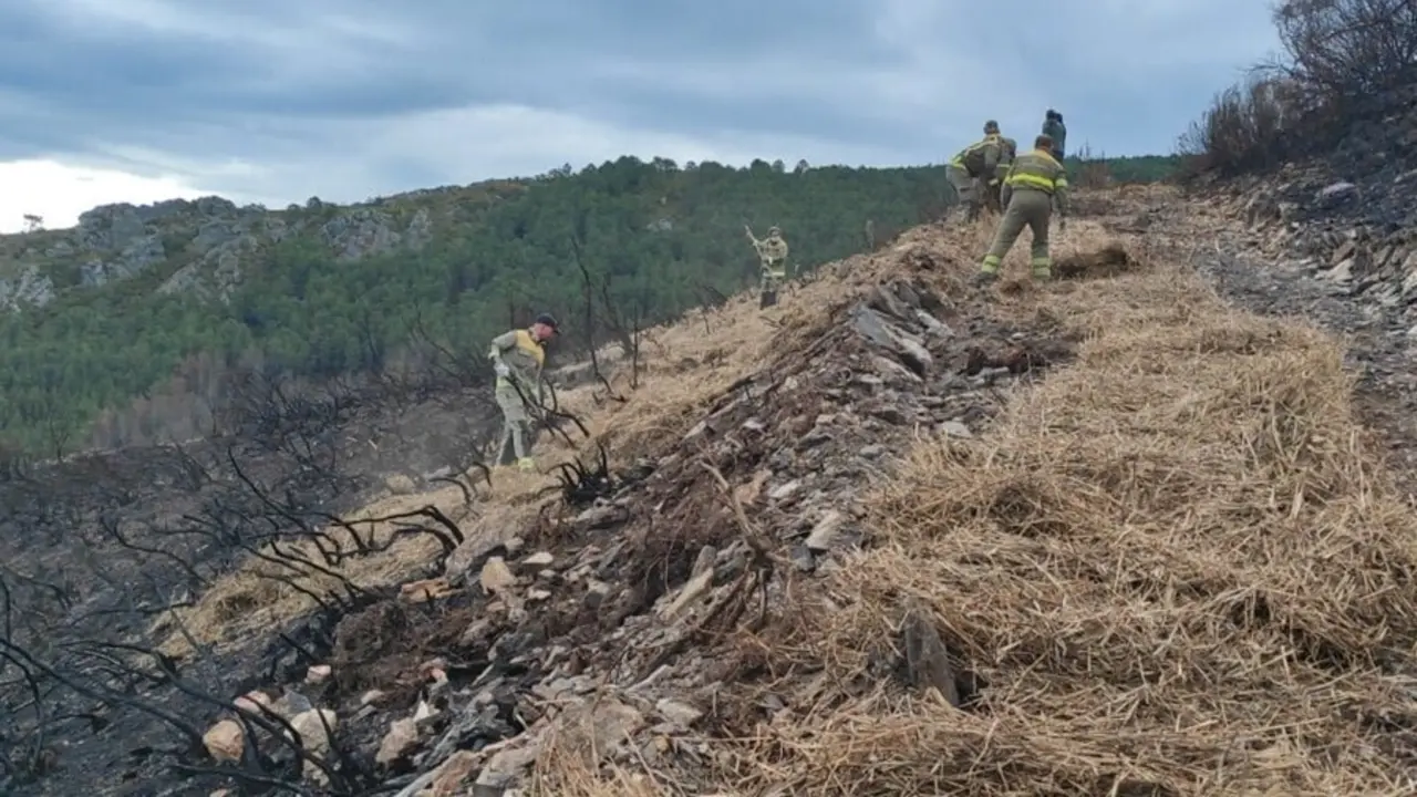 Aplicaci&oacute;n de la t&eacute;cnica de 'mulching' en la zona afectada por el incendio de Ribas de Sil (Lugo)