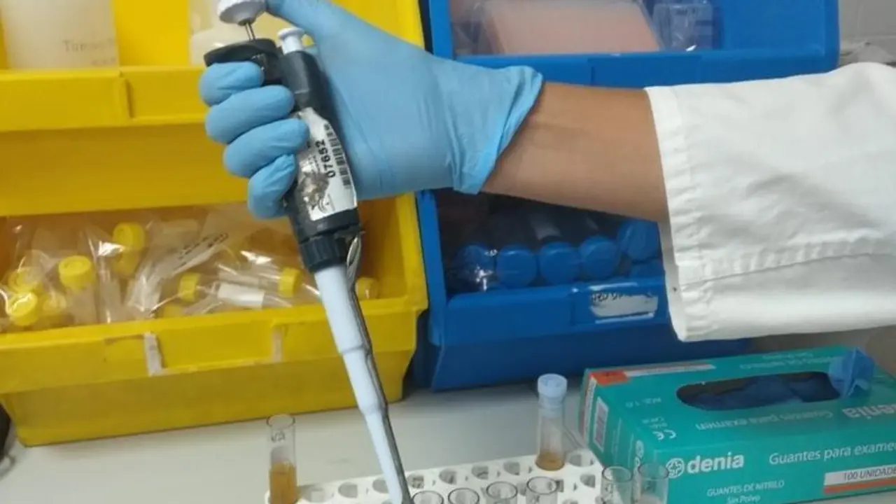 Archivo - Investigaci&oacute;n de cribado de hipercolesterolemia en el Macarena