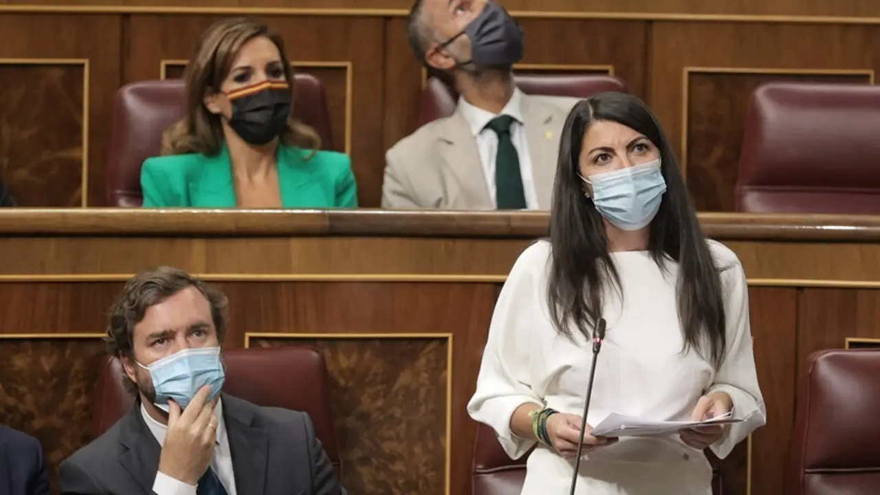 Varios diputados de Vox durante la sesi&oacute;n plenaria del Congreso