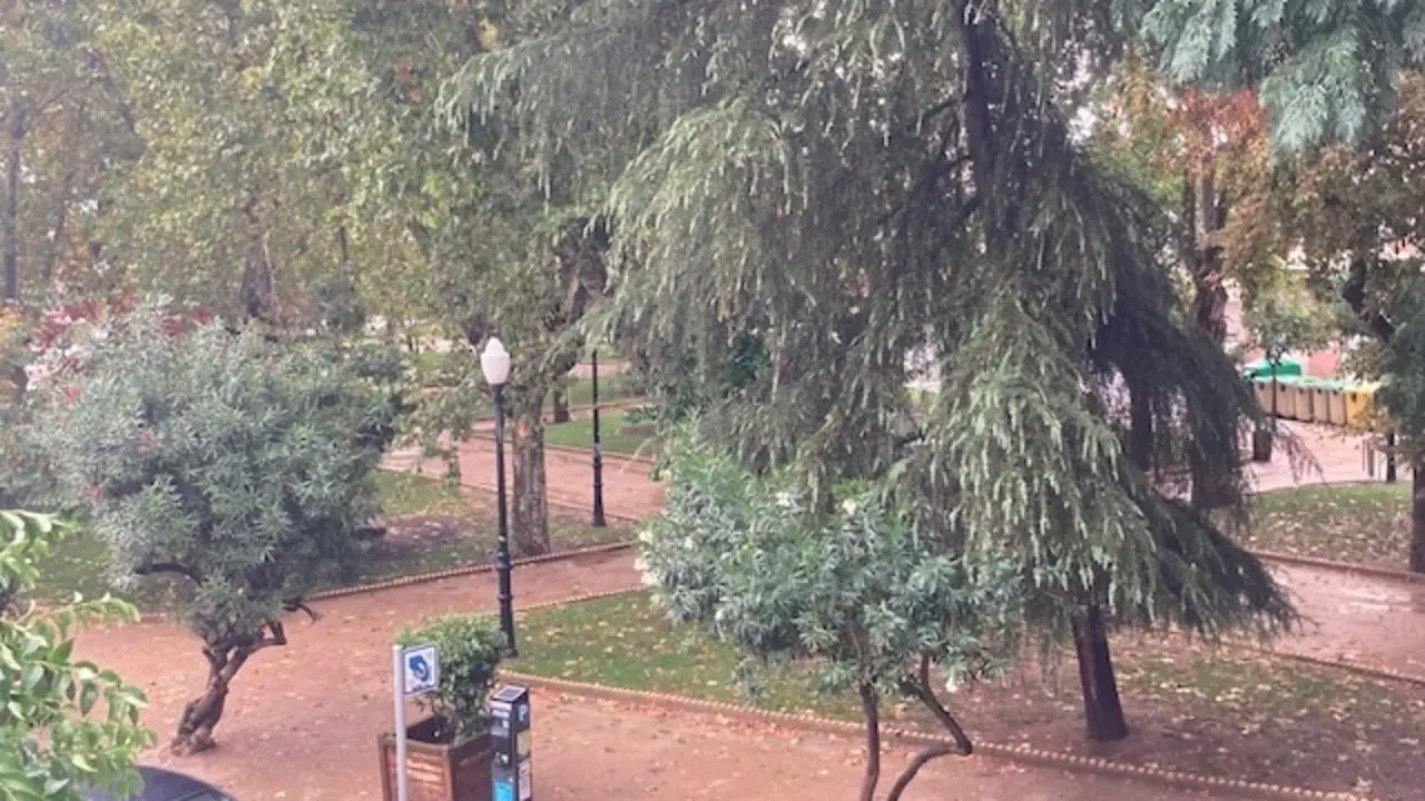 Parque de M&eacute;rida en un d&iacute;a lluvioso
