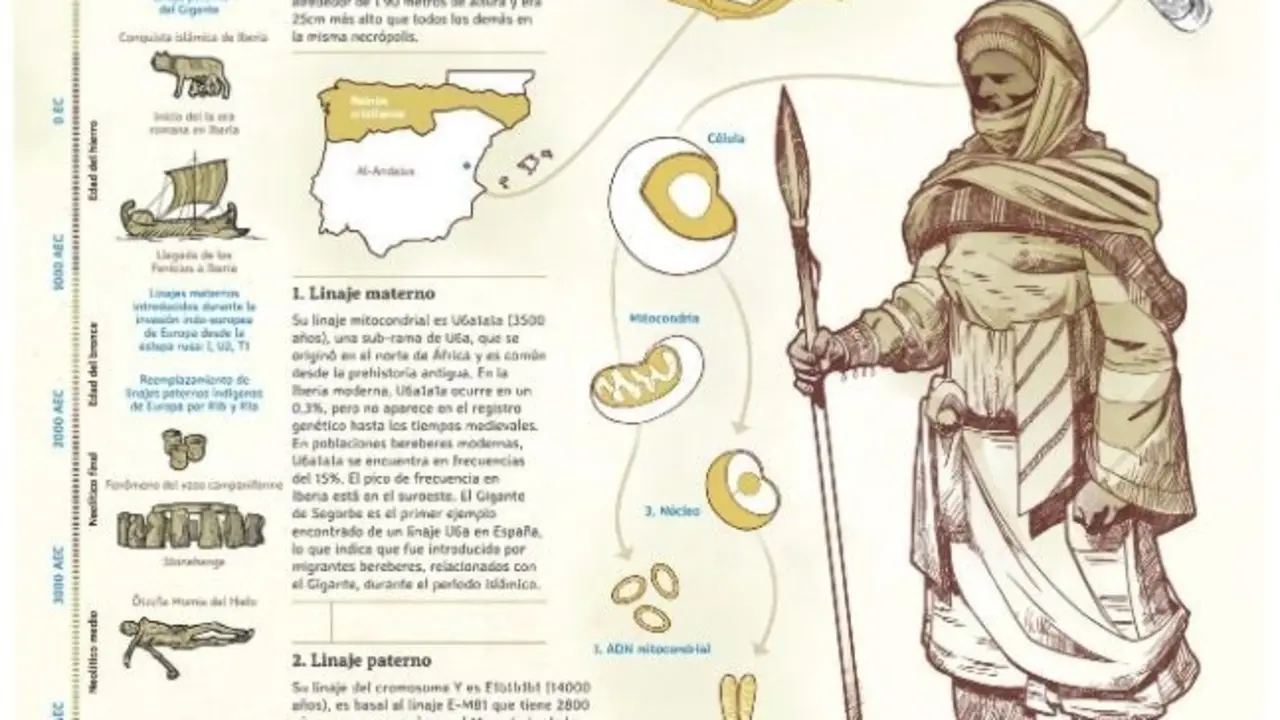 Descripci&oacute;n del Gigante de Segorbe