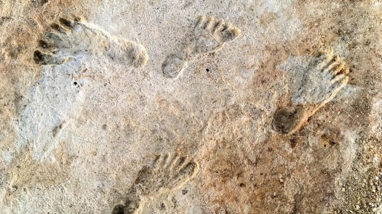 Huellas encontradas en el Parque Nacional White Sands en Nuevo M&eacute;xico, que proporcionan la evidencia m&aacute;s temprana de actividad humana en las Am&eacute;ricas.