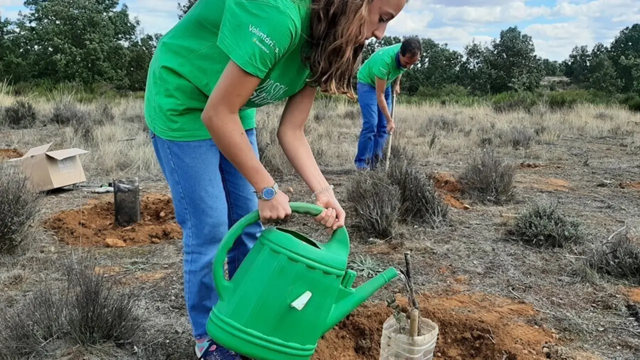 Voluntaria de Iberdrola participando en una actividad de reforestaci&oacute;n